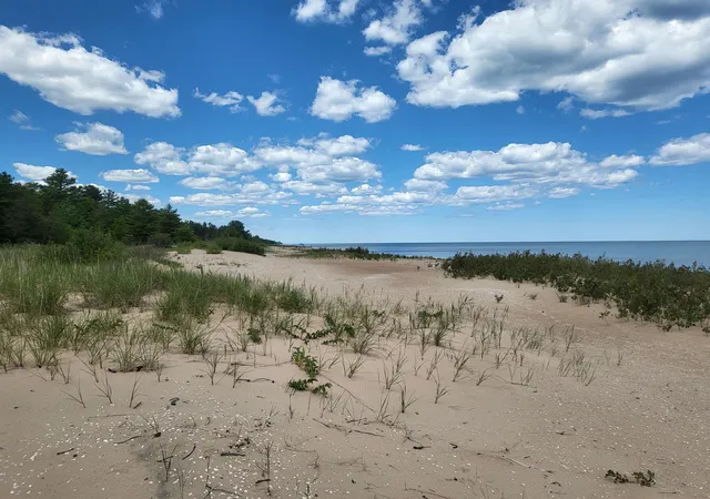 Homes for sale in Oscoda, MI | 5600 Us 23 N, Oscoda, MI 48750 | MLS# 80070668