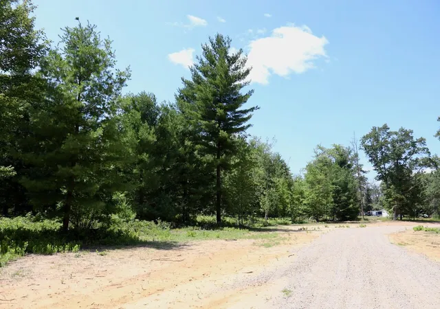 Photo 3 of Land for sale at 001 E Greenwood Rd, Prescott, MI 48756 | MLS# 70548310 | Listing updated on 2026-09-05