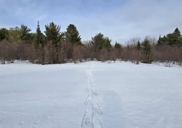 Photo 1 of Land for sale at Tbd M 38 Hwy, Greenland, MI 49929 | MLS# 50170546 | Listing updated on 2026-04-02