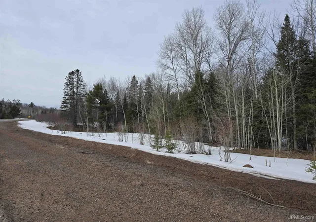 Photo 3 of Land for sale at Tbd M 38 Hwy, Greenland, MI 49929 | MLS# 50170546 | Listing updated on 2026-04-02