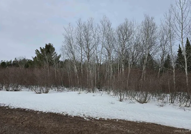 Photo 4 of Land for sale at Tbd M 38 Hwy, Greenland, MI 49929 | MLS# 50170546 | Listing updated on 2026-04-02