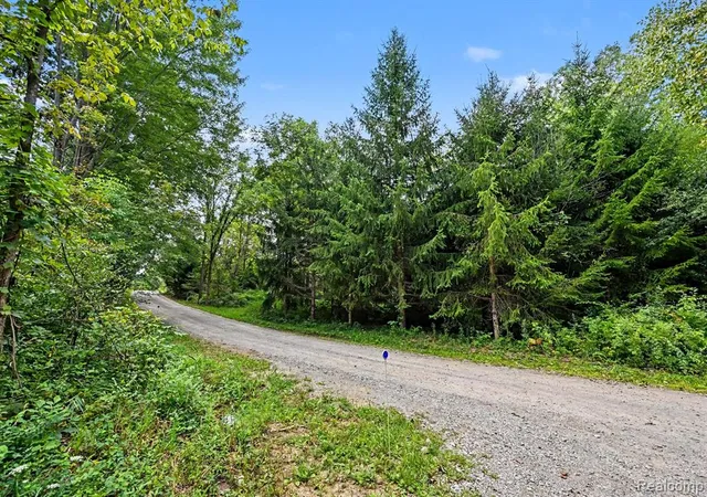 Photo 3 of Land for sale at 3195 E Pillar Dr, Whitmore Lake, MI 48189 | MLS# 61025831 | Listing updated on 2026-08-29