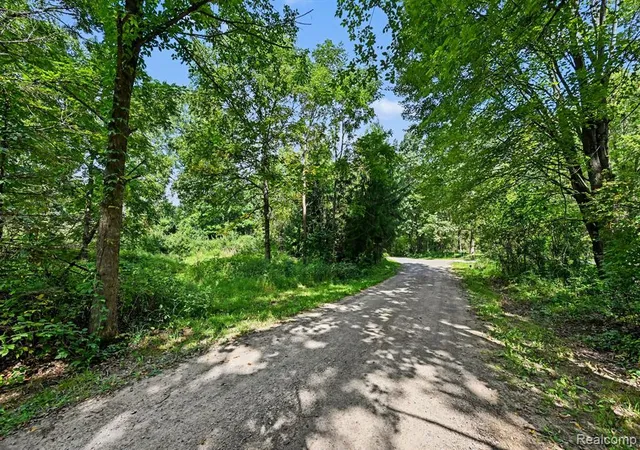 Photo 4 of Land for sale at 3195 E Pillar Dr, Whitmore Lake, MI 48189 | MLS# 61025831 | Listing updated on 2026-08-29