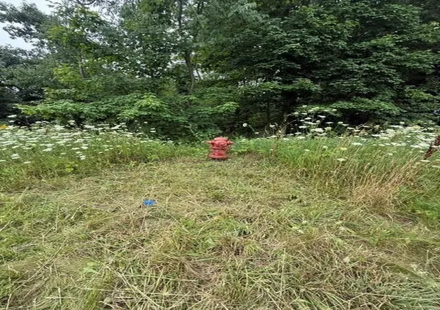 Photo 3 of Sale Pending at 802 E Main St, Middleville, MI 49333 | MLS# 70550817 | Listing updated on 2026-09-08