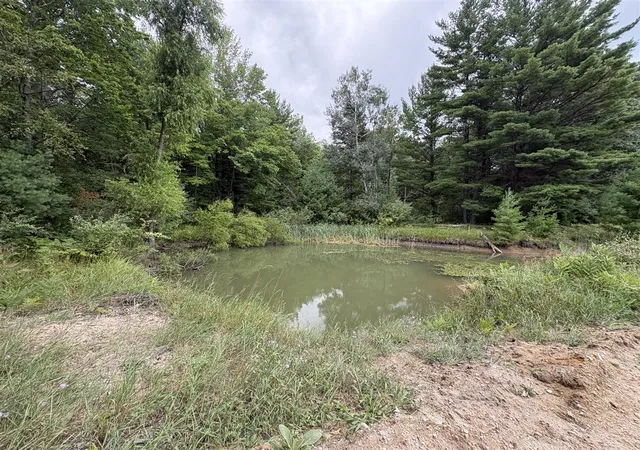 Photo 1 of Land for sale at Vl 5 Mile Rd, Morley, MI 49336 | MLS# 70549745 | Listing updated on 2026-08-28
