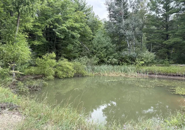 Photo 2 of Land for sale at Vl 5 Mile Rd, Morley, MI 49336 | MLS# 70549745 | Listing updated on 2026-08-28