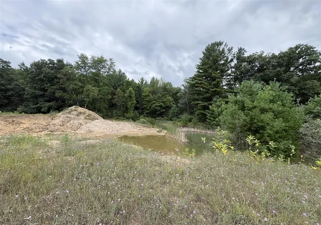 Photo 3 of Land for sale at Vl 5 Mile Rd, Morley, MI 49336 | MLS# 70549745 | Listing updated on 2026-08-28