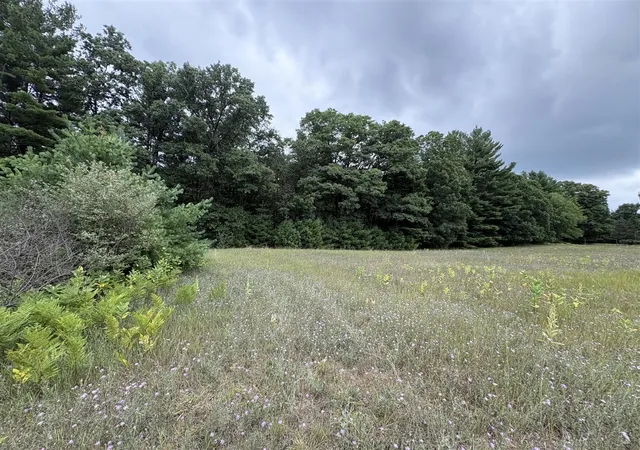 Photo 3 of Land for sale at Vl 5 Mile Rd, Morley, MI 49336 | MLS# 70549745 | Listing updated on 2026-08-28