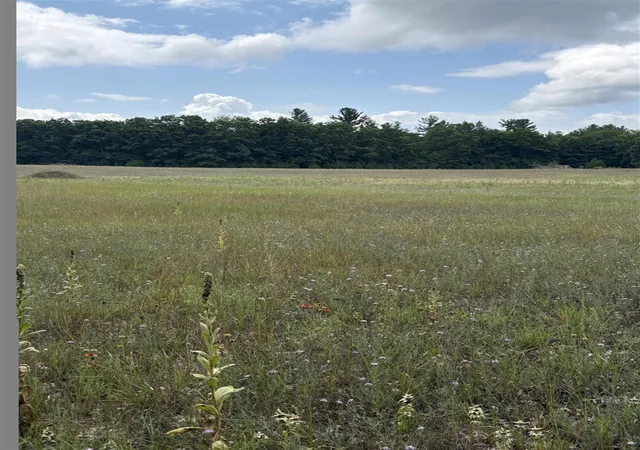 Photo 4 of Land for sale at Vl 5 Mile Rd, Morley, MI 49336 | MLS# 70549745 | Listing updated on 2026-08-28