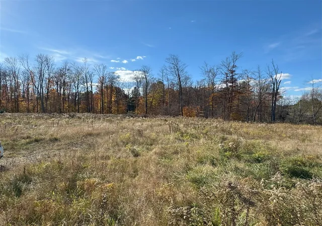 Photo 3 of Land for sale at 15505 Waldron Way, Big Rapids, MI 49307 | MLS# 70438322 | Listing updated on 2026-05-01