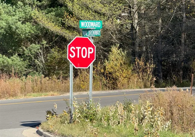 Photo 3 of Land for sale at 15505 Waldron Way, Big Rapids, MI 49307 | MLS# 70438322 | Listing updated on 2026-05-01