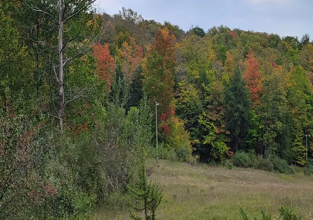 Homes for sale in Bellaire, MI | Lot A N Crossover Dr, Bellaire, MI 49615 | MLS# 80066761