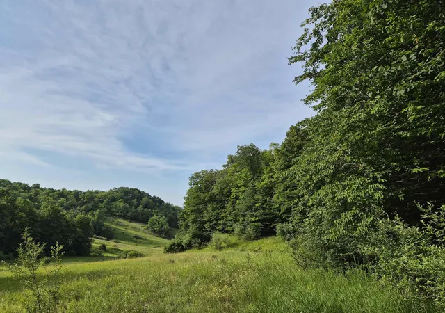 2nd image of Lot A N Crossover Dr, Bellaire, MI 49615 | MLS# 80066761