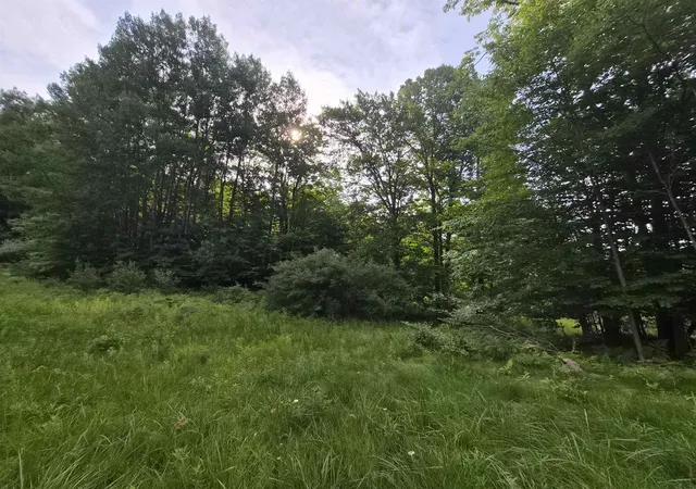 3rd image of Lot A N Crossover Dr, Bellaire, MI 49615 | MLS# 80066761