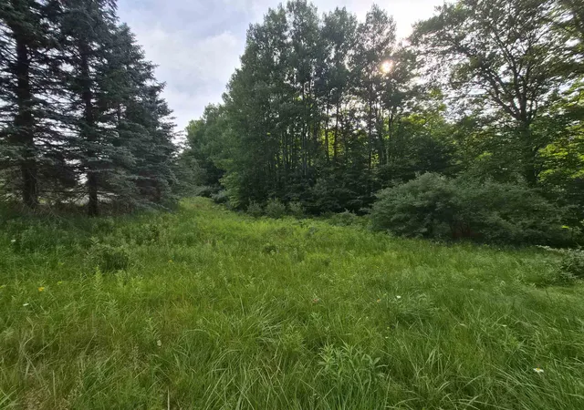4th image of Lot A N Crossover Dr, Bellaire, MI 49615 | MLS# 80066761