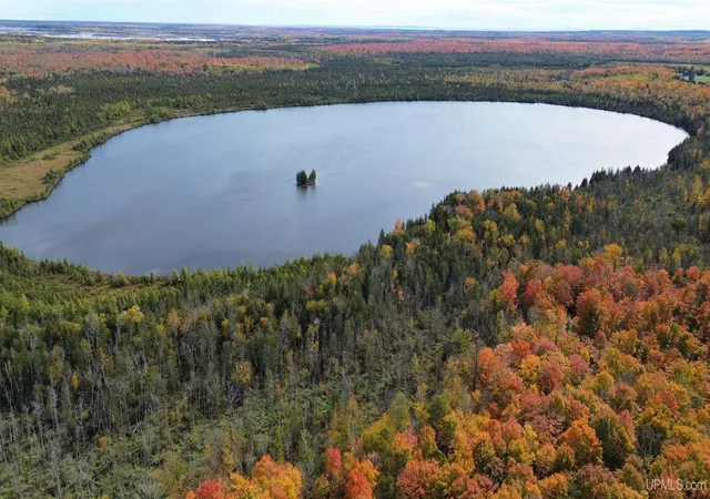 Photo 2 of Land for sale at Tbd Us 2 Hwy, Gulliver, MI 49854 | MLS# 50191855 | Listing updated on 2025-10-29