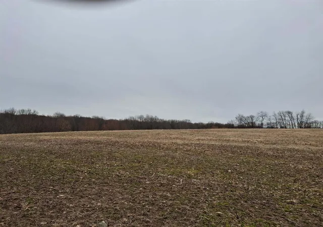 15th image of V/l Janet Dr Parcel 7, Saranac, MI 48881 | MLS# 70519483