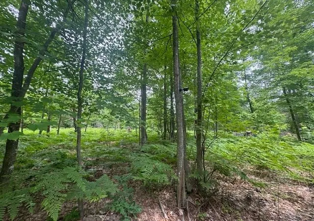image of 10384 W Rosted Rd, Lake City, MI 49651 | MLS# 80070001