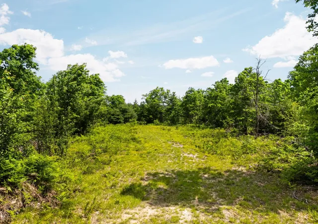 Photo 1 of Land for sale at 4011 W Forest Rd, Lake City, MI 49651 | MLS# 80072243 | Listing updated on 2026-08-15