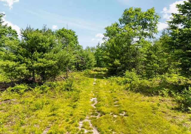 Photo 2 of Land for sale at 4011 W Forest Rd, Lake City, MI 49651 | MLS# 80072243 | Listing updated on 2026-08-15