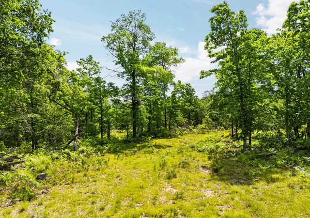 Photo 3 of Land for sale at 4011 W Forest Rd, Lake City, MI 49651 | MLS# 80072243 | Listing updated on 2026-08-15