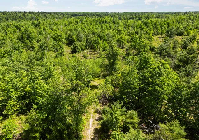 Photo 4 of Land for sale at 4011 W Forest Rd, Lake City, MI 49651 | MLS# 80072243 | Listing updated on 2026-08-15