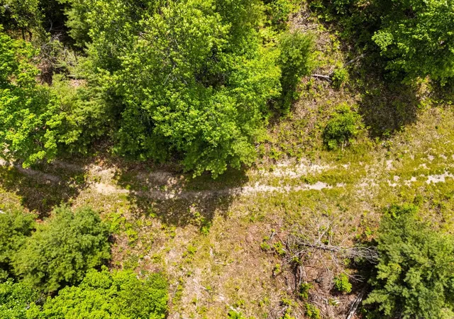 Photo 5 of Land for sale at 4011 W Forest Rd, Lake City, MI 49651 | MLS# 80072243 | Listing updated on 2026-08-15