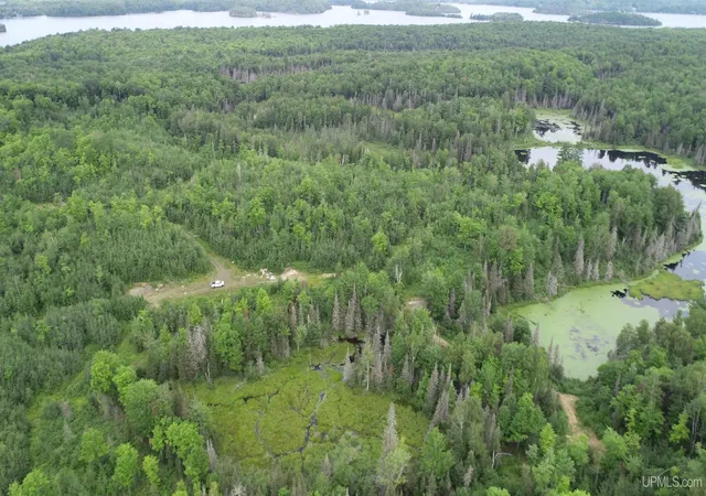 Photo 1 of Land for sale at 300 Acres Holli Blue Rd, Republic, MI 49879 | MLS# 50217035 | Listing updated on 2026-08-13