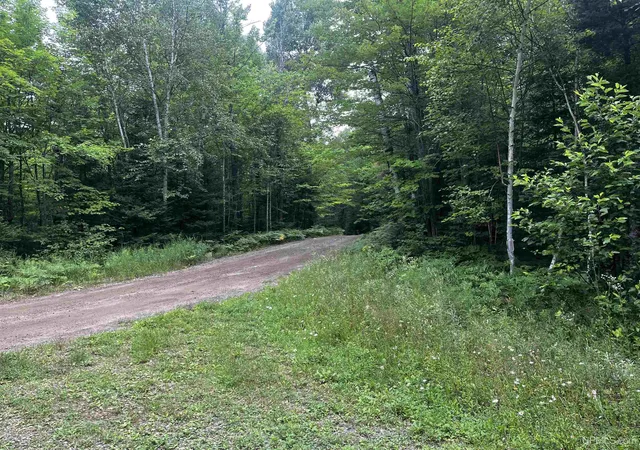 Photo 2 of Land for sale at 300 Acres Holli Blue Rd, Republic, MI 49879 | MLS# 50217035 | Listing updated on 2026-08-13