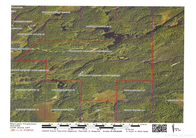 Photo 30 of Land for sale at 300 Acres Holli Blue Rd, Republic, MI 49879 | MLS# 50217035 | Listing updated on 2026-08-13