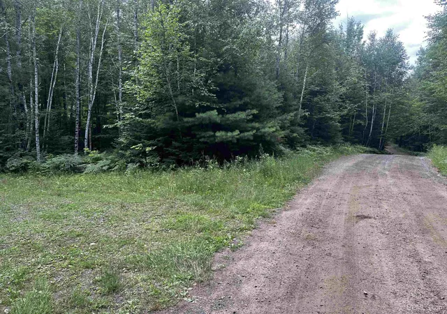Photo 3 of Land for sale at 300 Acres Holli Blue Rd, Republic, MI 49879 | MLS# 50217035 | Listing updated on 2026-08-13