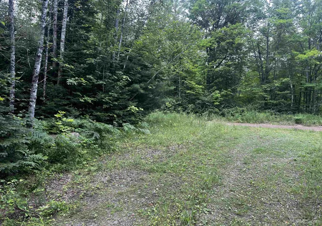Photo 4 of Land for sale at 300 Acres Holli Blue Rd, Republic, MI 49879 | MLS# 50217035 | Listing updated on 2026-08-13