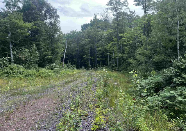 Photo 5 of Land for sale at 300 Acres Holli Blue Rd, Republic, MI 49879 | MLS# 50217035 | Listing updated on 2026-08-13