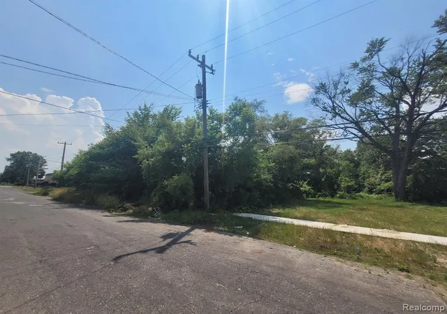 Photo 4 of Land for sale at 9585 Iris St, Detroit, MI 48227 | MLS# 60319136 | Listing updated on 2026-08-15