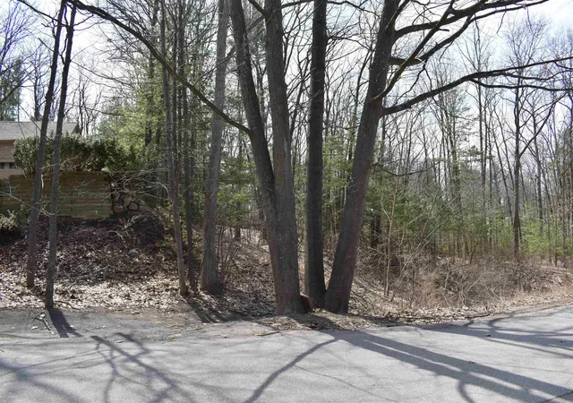 Photo 3 of Land for sale at 377 Peninsula Knolls Ln, Traverse City, MI 49686 | MLS# 80055814 | Listing updated on 2025-12-29