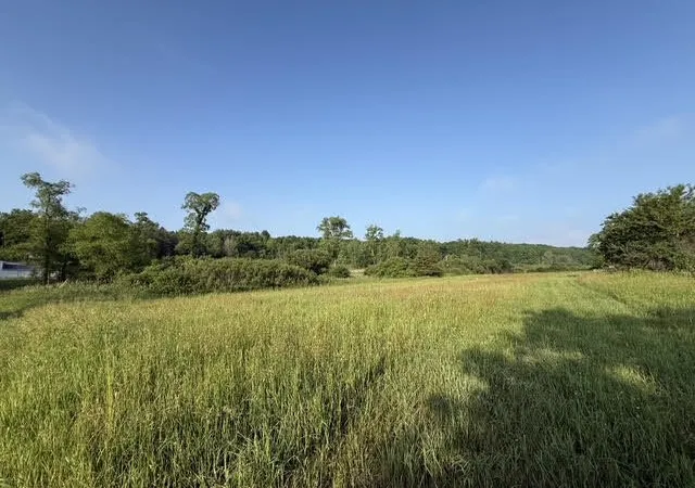 Photo 1 of Land for sale at Parcel E B M 79, Nashville, MI 49073 | MLS# 70537722 | Listing updated on 2026-08-10