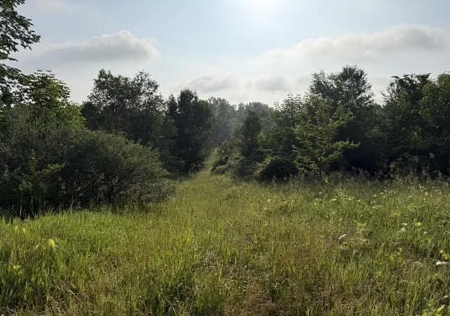 Photo 3 of Land for sale at Parcel E B M 79, Nashville, MI 49073 | MLS# 70537722 | Listing updated on 2026-08-10