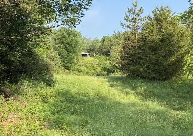 Photo 3 of Land for sale at Parcel E B M 79, Nashville, MI 49073 | MLS# 70537722 | Listing updated on 2026-08-10