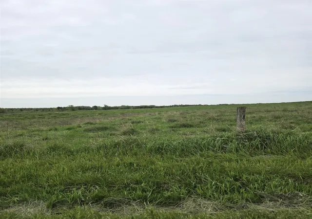 Photo 3 of Land for sale at V/l E Stevenson Lake Rd, Clare, MI 48617 | MLS# 50209517 | Listing updated on 2026-10-01