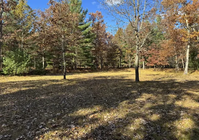 Homes for sale in Free Soil, MI | Parcel 13 County Line Rd, Free Soil, MI 49411 | MLS# 70519675