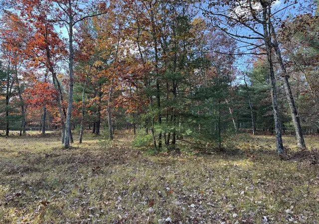 Homes for sale in Free Soil, MI | Parcel 13 County Line Rd, Free Soil, MI 49411 | MLS# 70519675