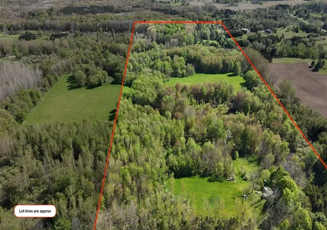 Photo 3 of Sale Pending at 2665 E Wilson Rd, Custer, MI 49405 | MLS# 70538818 | Listing updated on 2026-07-20