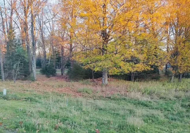 Photo 3 of Land for sale at Tbd N River Rd, Park Falls, WI 54552 | MLS# 50192093 | Listing updated on 2025-10-23