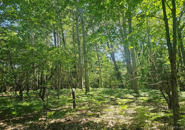 3rd image of Tbd Parcel M17 Applewood Dr, Houghton, MI 49931 | MLS# 50214729