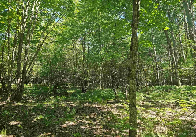 4th image of Tbd Parcel M17 Applewood Dr, Houghton, MI 49931 | MLS# 50214729