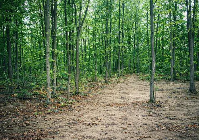 4th image of 8877 Cedar Creek Dr, Petoskey, MI 49770 | MLS# 80067007