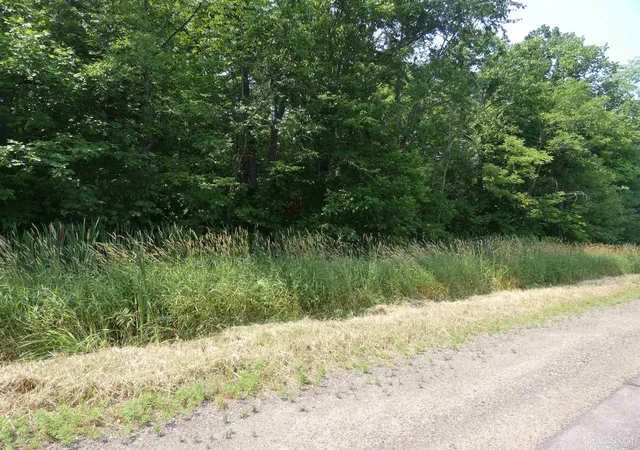Photo 3 of Sale Pending at Tbd M 64 Hwy, Marenisco, MI 49947 | MLS# 50216874 | Listing updated on 2026-09-30