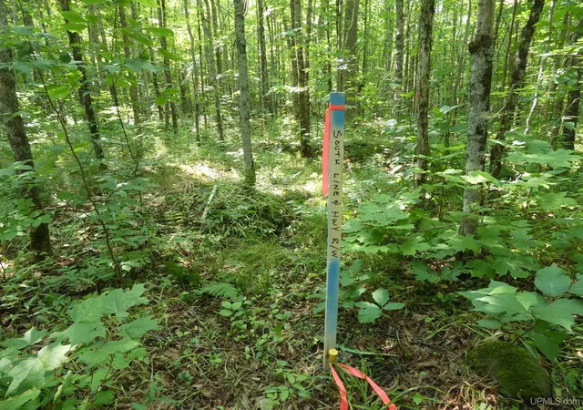 Photo 3 of Sale Pending at Tbd M 64 Hwy, Marenisco, MI 49947 | MLS# 50216874 | Listing updated on 2026-09-30