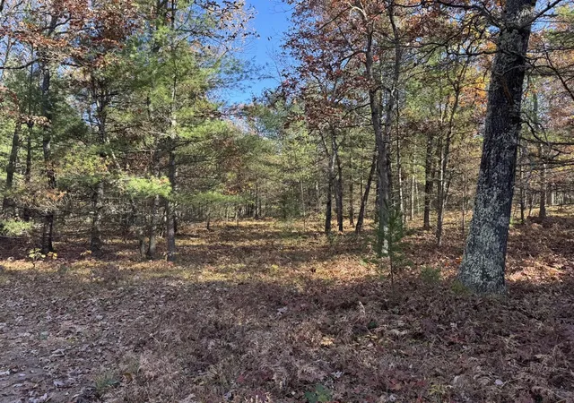 Photo 3 of Land for sale at Parcel 4 County Line Rd, Manistee, MI 49660 | MLS# 70519666 | Listing updated on 2026-09-16
