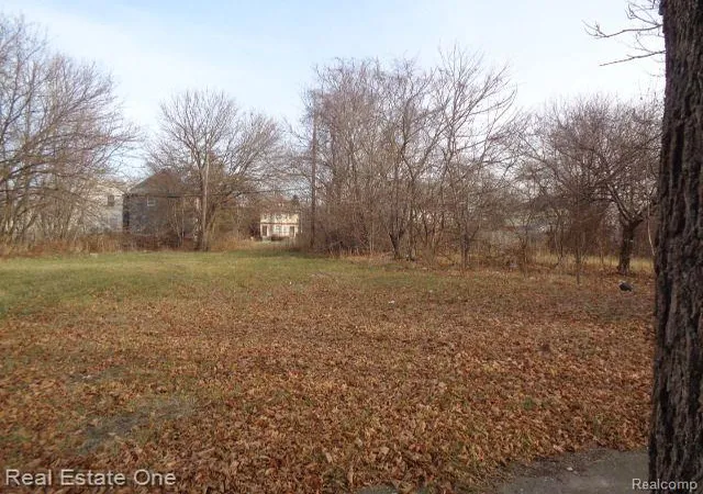 Photo 1 of Land for sale at 3806 Belvidere St, Detroit, MI 48214 | MLS# 60180375 | Listing updated on 2026-01-21